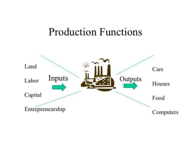 theory of production case study